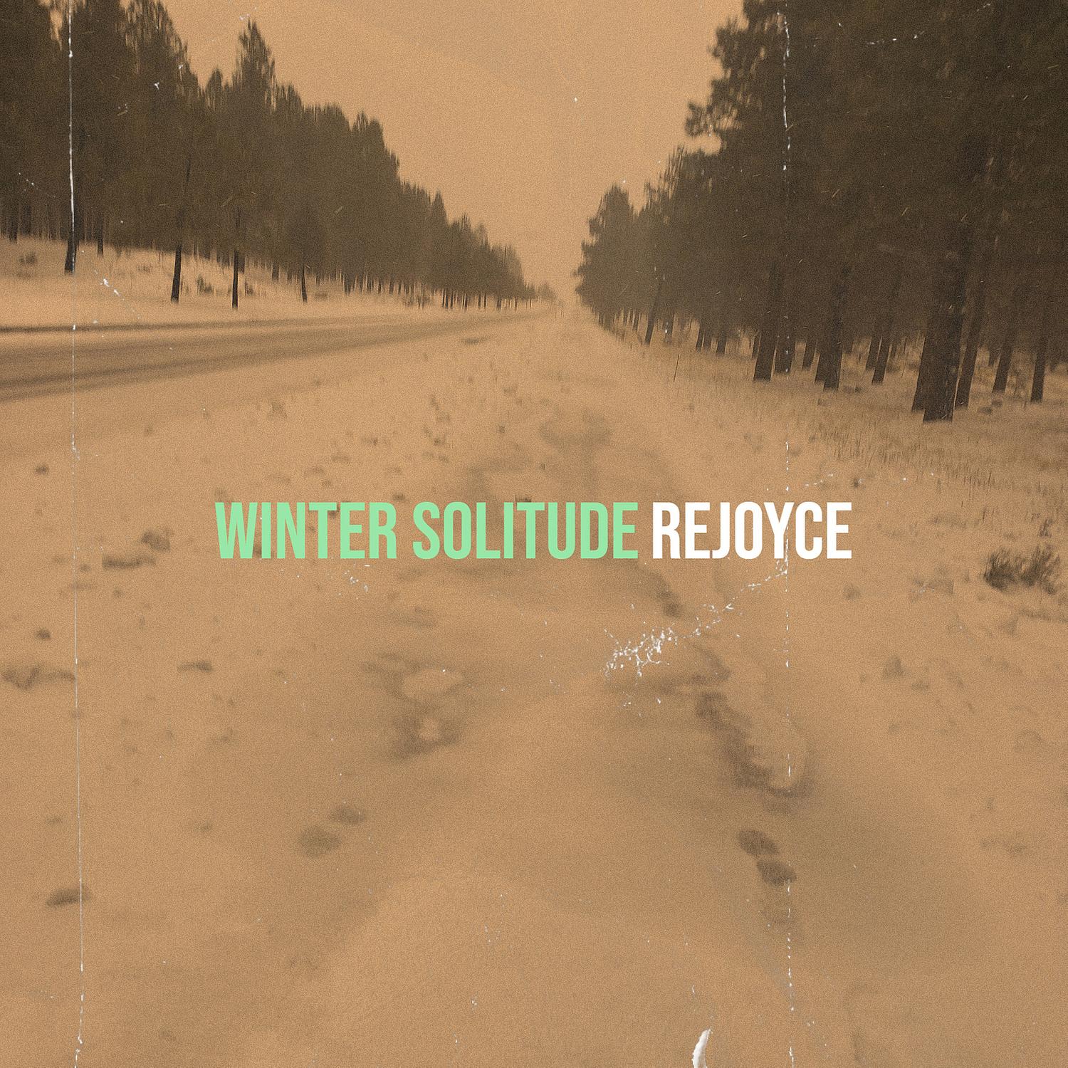 Winter Solitude