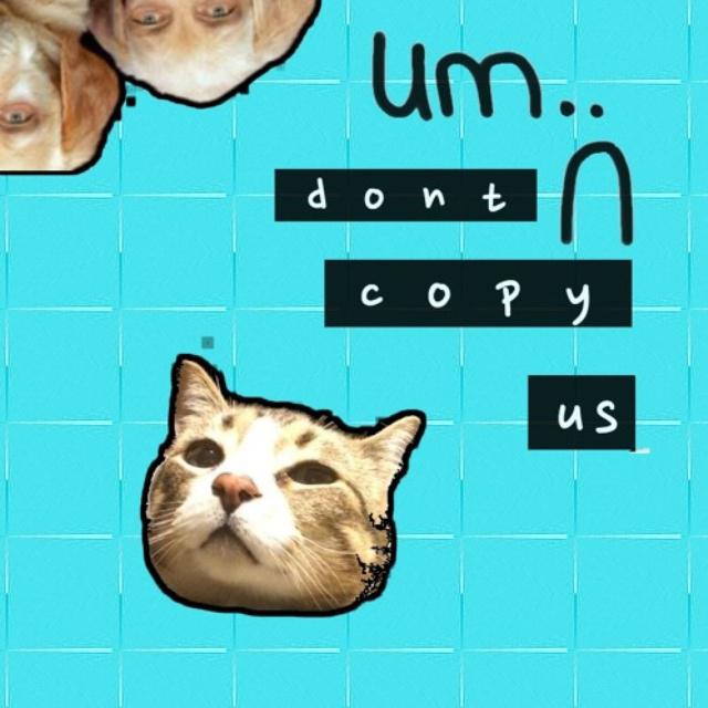 Don't Copy Us专辑