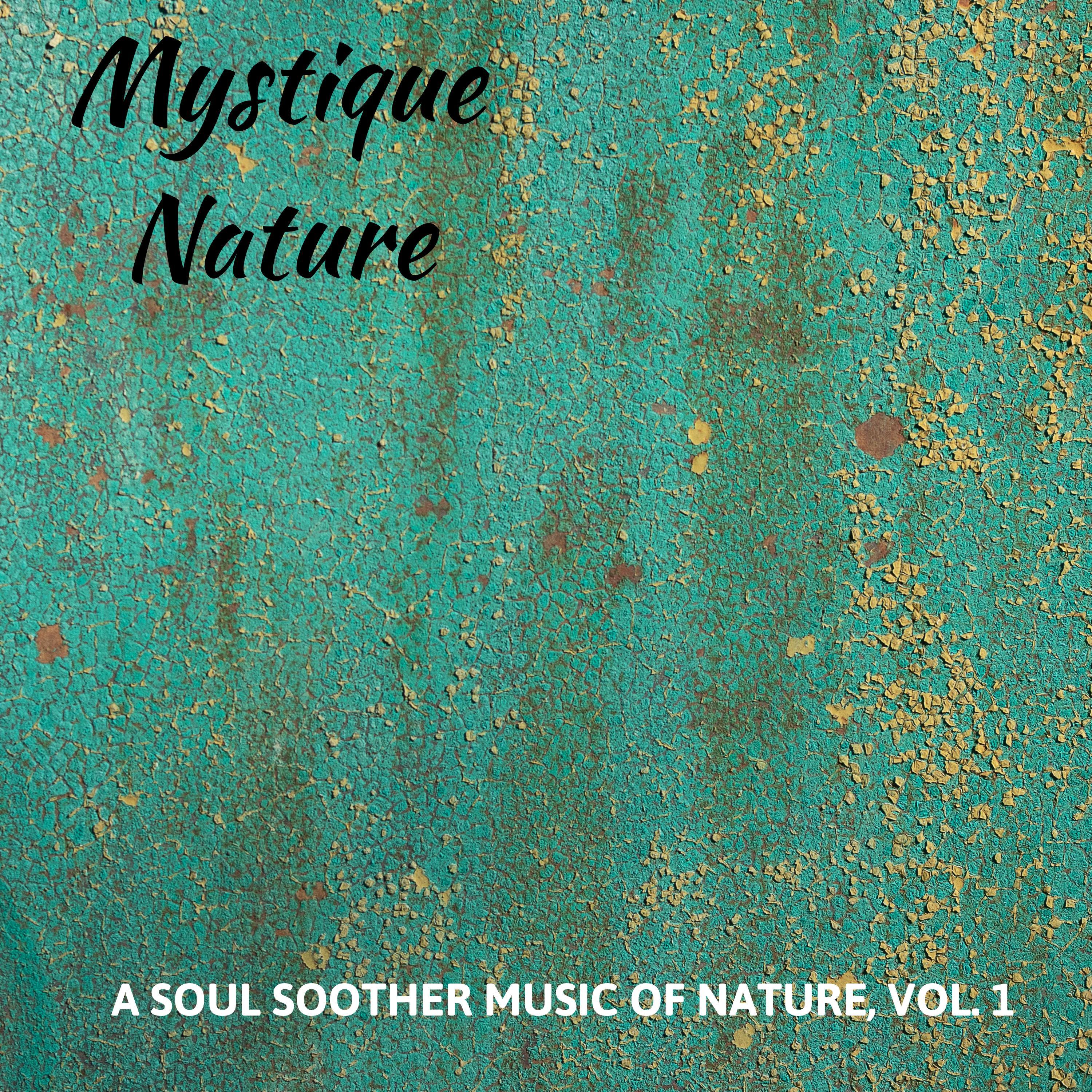 Mystique Nature - A Soul Soother Music of Nature, Vol. 1