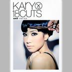 专辑《Kary 18 Cuts》