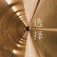 选择