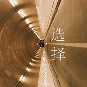 选择