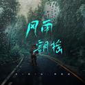 风雨飘摇专辑