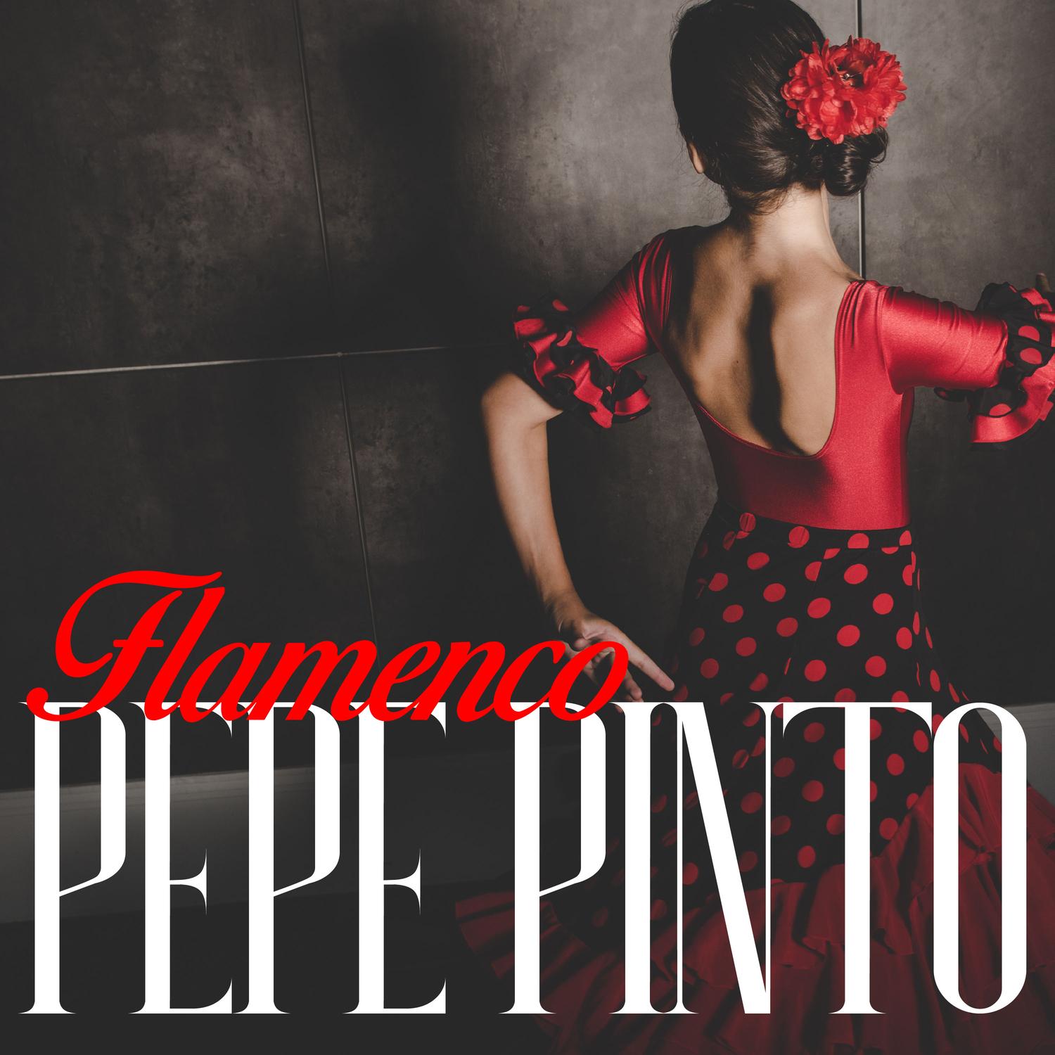 Flamenco Pepe Pinto