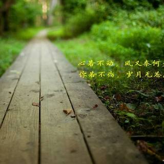 一梦等千年 无缘也无你