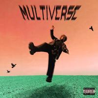 MULTIVERSE