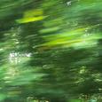 适合夏天听的歌｜氛围感放松旅行