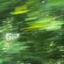 适合夏天听的歌｜氛围感放松旅行