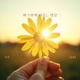 따스하게 비추는 햇살