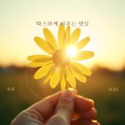 따스하게 비추는 햇살