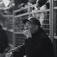 阿梵 - 长安落花