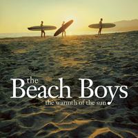 The Beach Boys - The Warmth Of The Sun (instrumental)