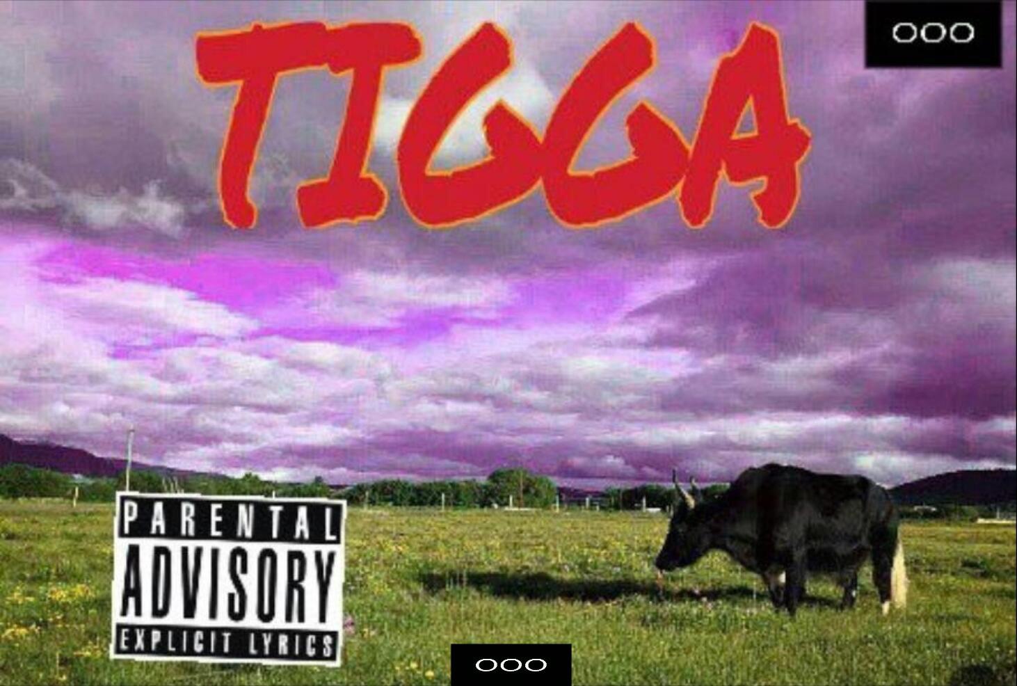 T.I.G.G.A.专辑