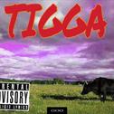 T.I.G.G.A.专辑