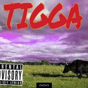 T.I.G.G.A.