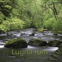 Lugna Rum (The SPA Collection)专辑