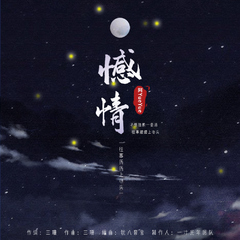 憾情