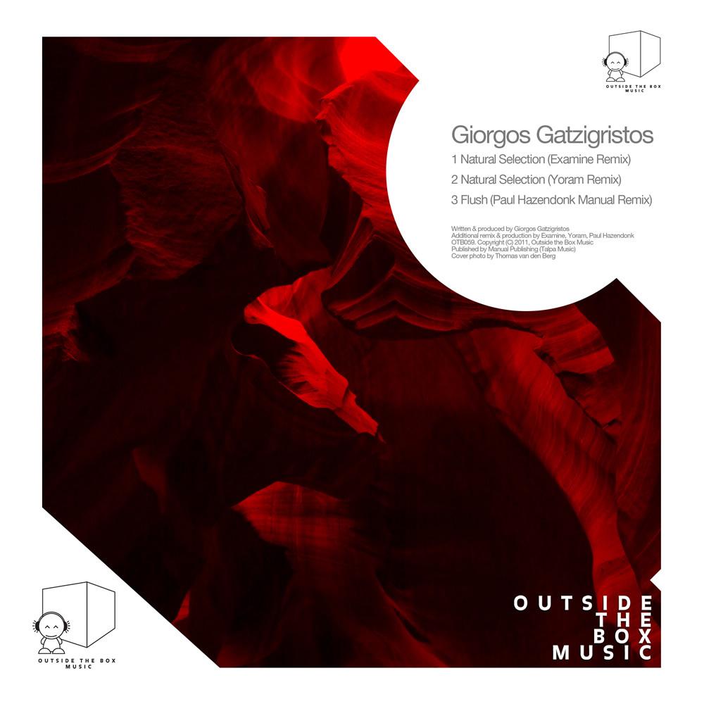Natural Selection Remixes