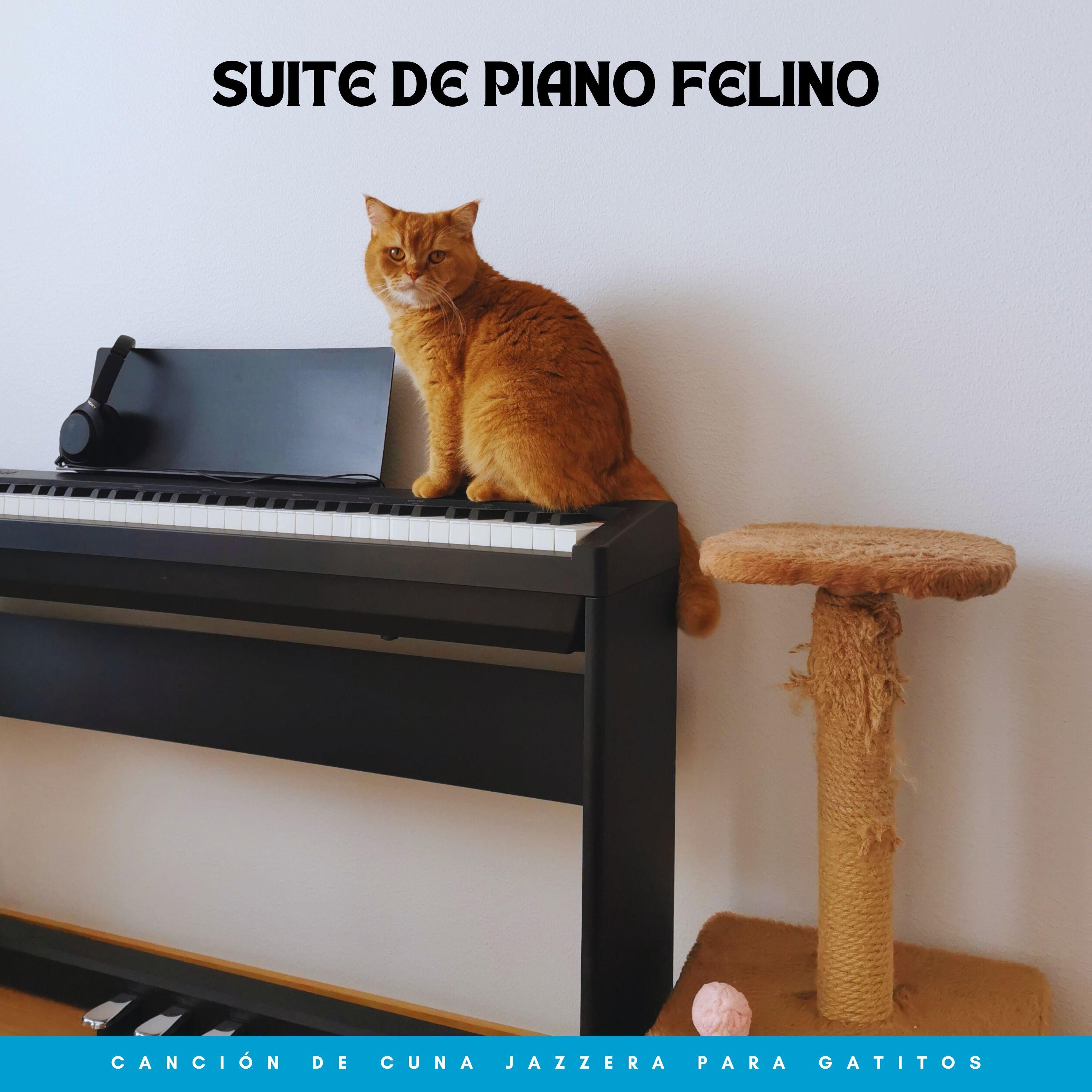 Música de piano para momentos de tranquilidad - Melodía De Gatito Somnoliento