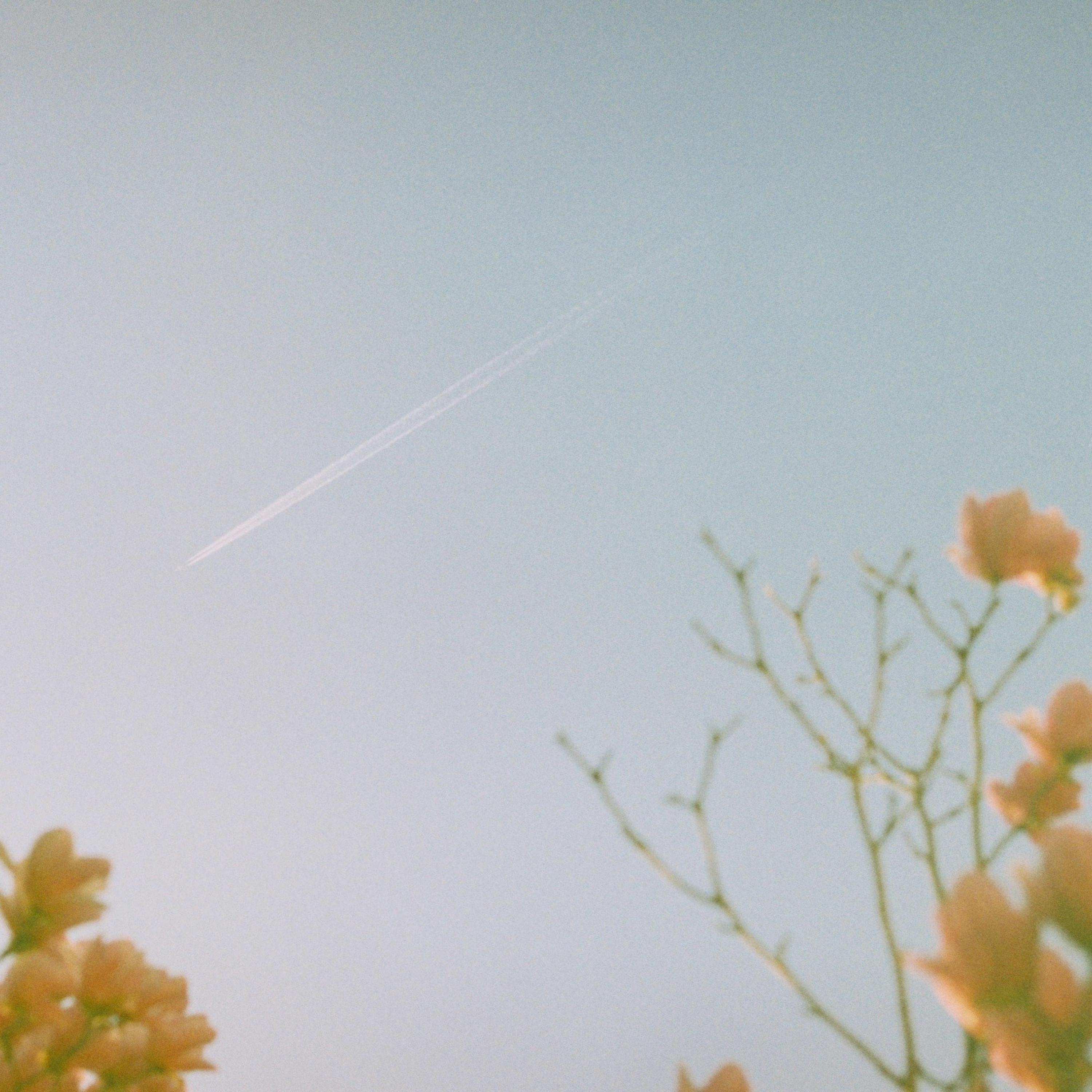 Day Trips