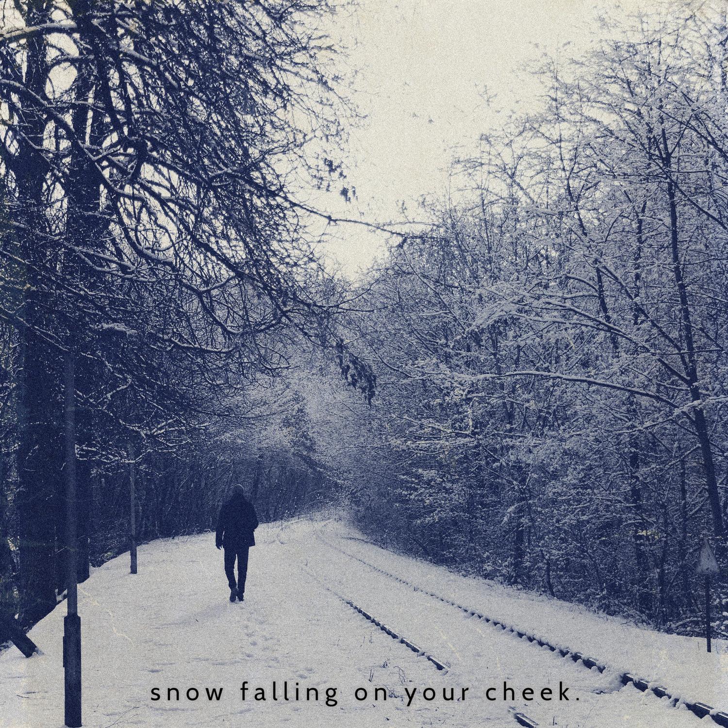 Snow Falling on Your Cheek