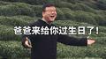 网易严选周岁了专辑