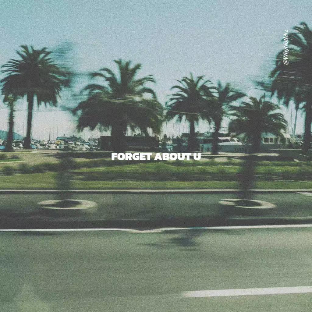 RnB Melodic rap beat'forget about u'