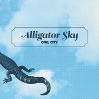 Alligator Sky - Owl City (karaoke)