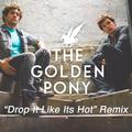 Drop it like its hot (The Golden Pony Remix)