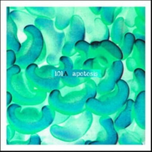 apotosis
