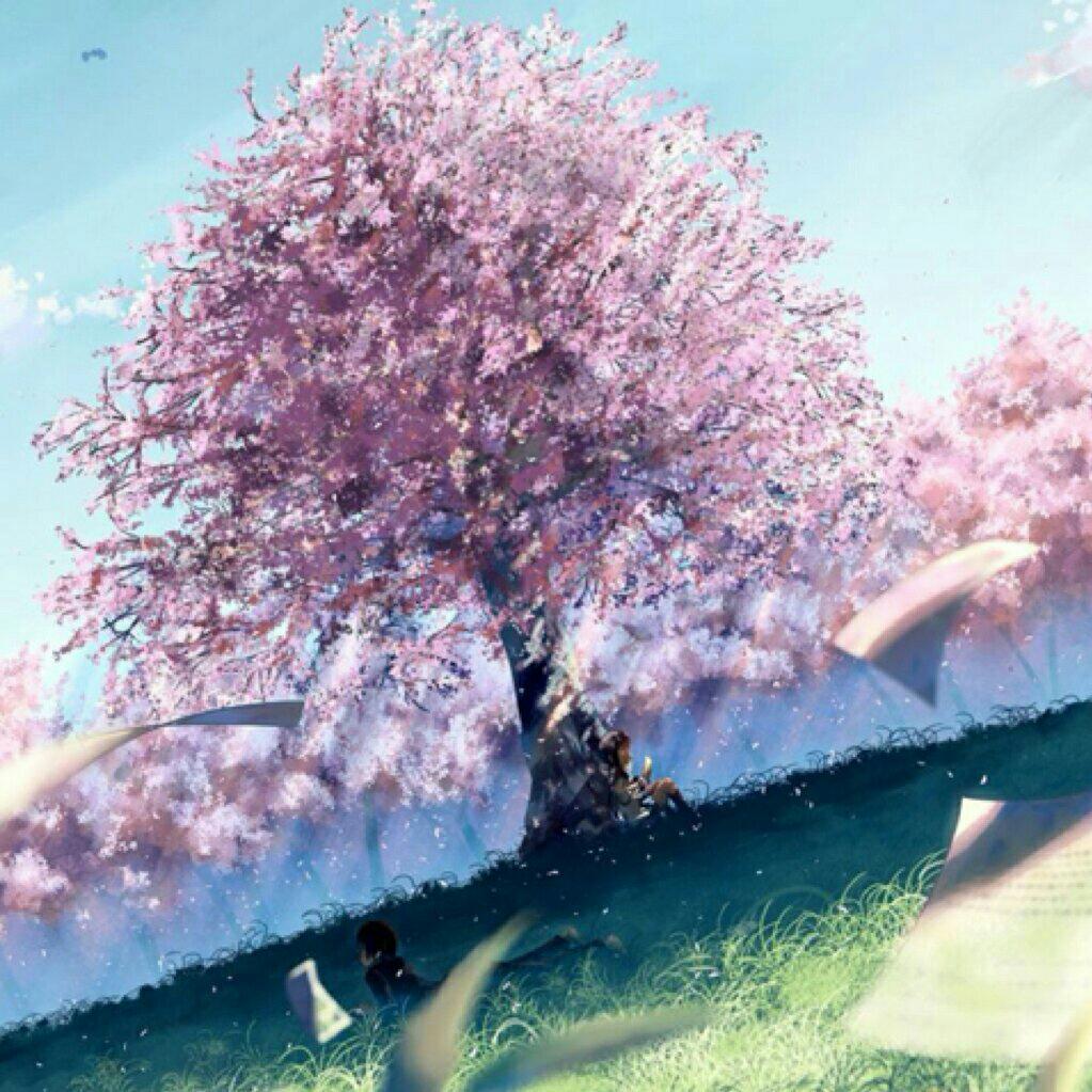 看书必备轻音乐 写作业专用BGM
