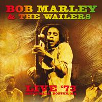 Get Up Stand Up - Bob Marley (unofficial Instrumental)