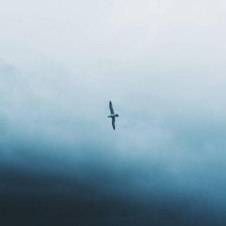 幻梦｜给回忆一盒阿司匹林