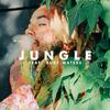 DillanPonders - JUNGLE (feat. Ruby Waters)