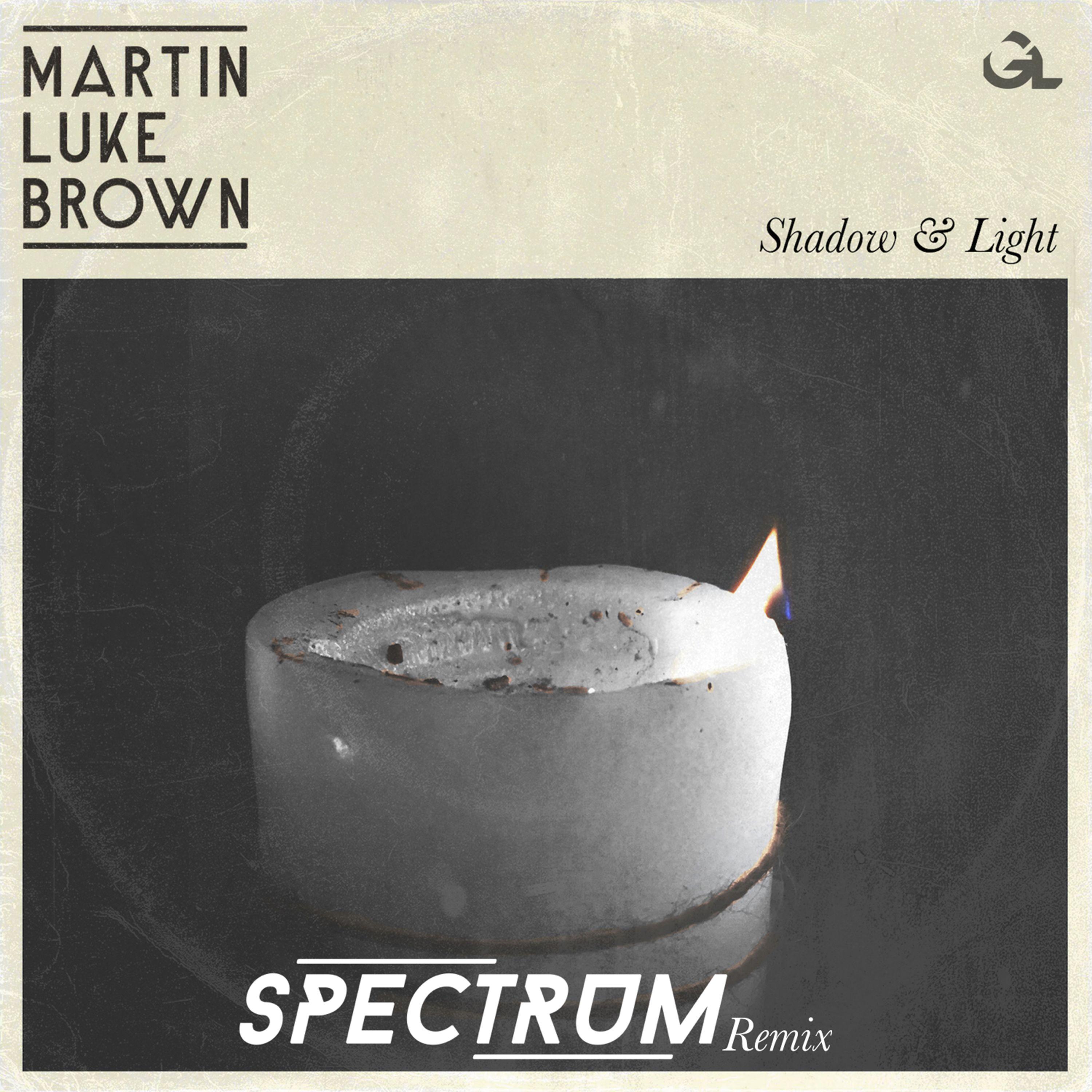 Shadow & Light (Spectrum Remix)