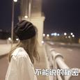 不能说的秘密
