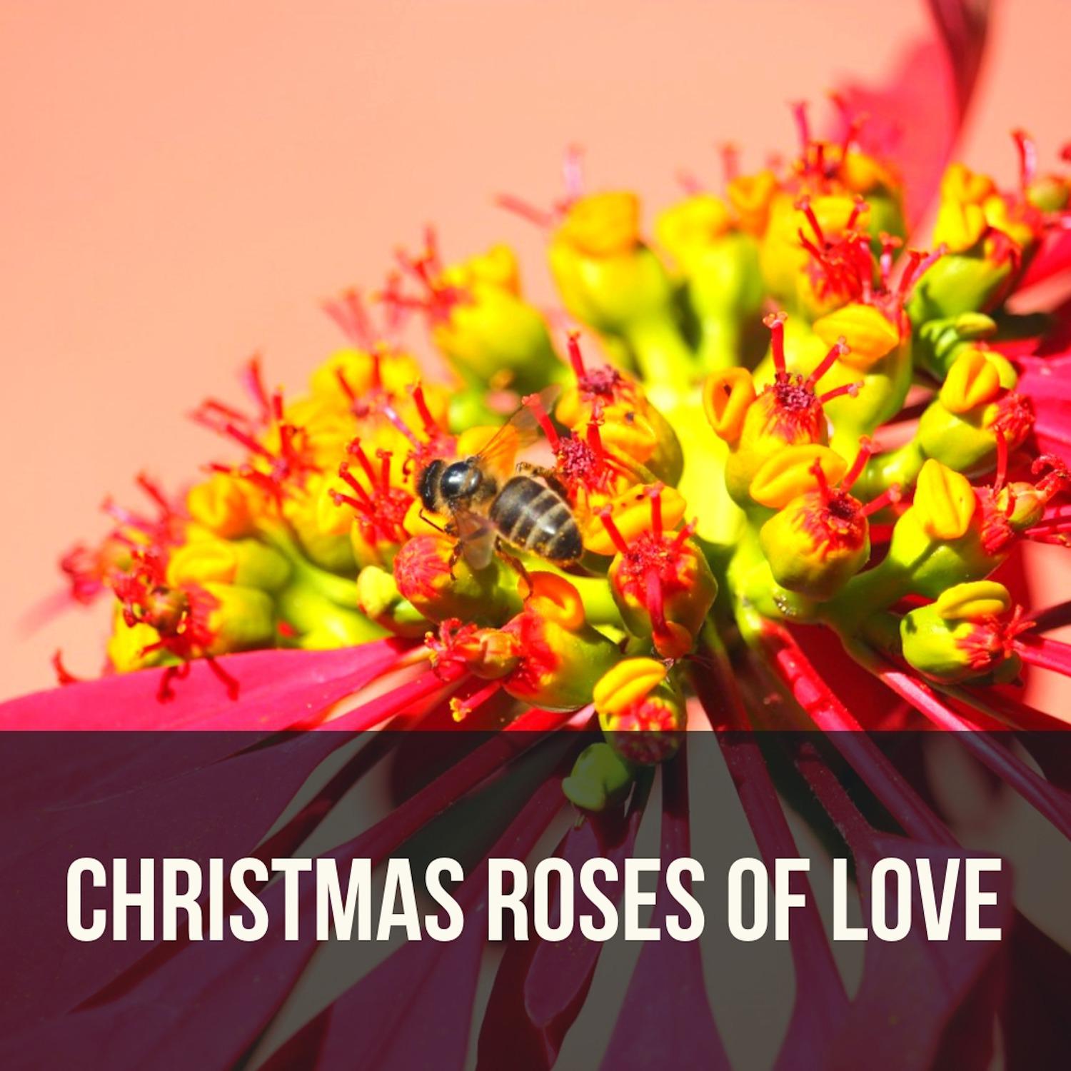 Frankie Laine - Christmas Roses