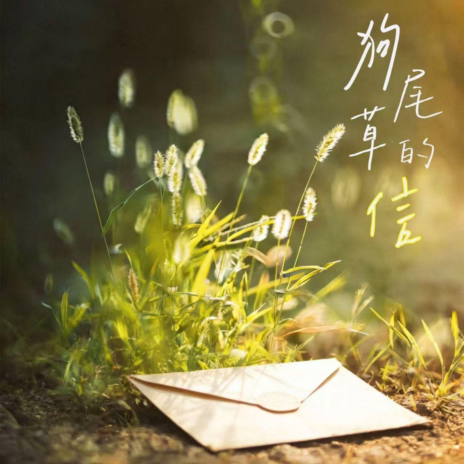 狗尾草的信