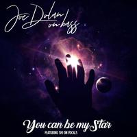 Joe Dolan - It\'s You It\'s You It\'s You (karaoke)