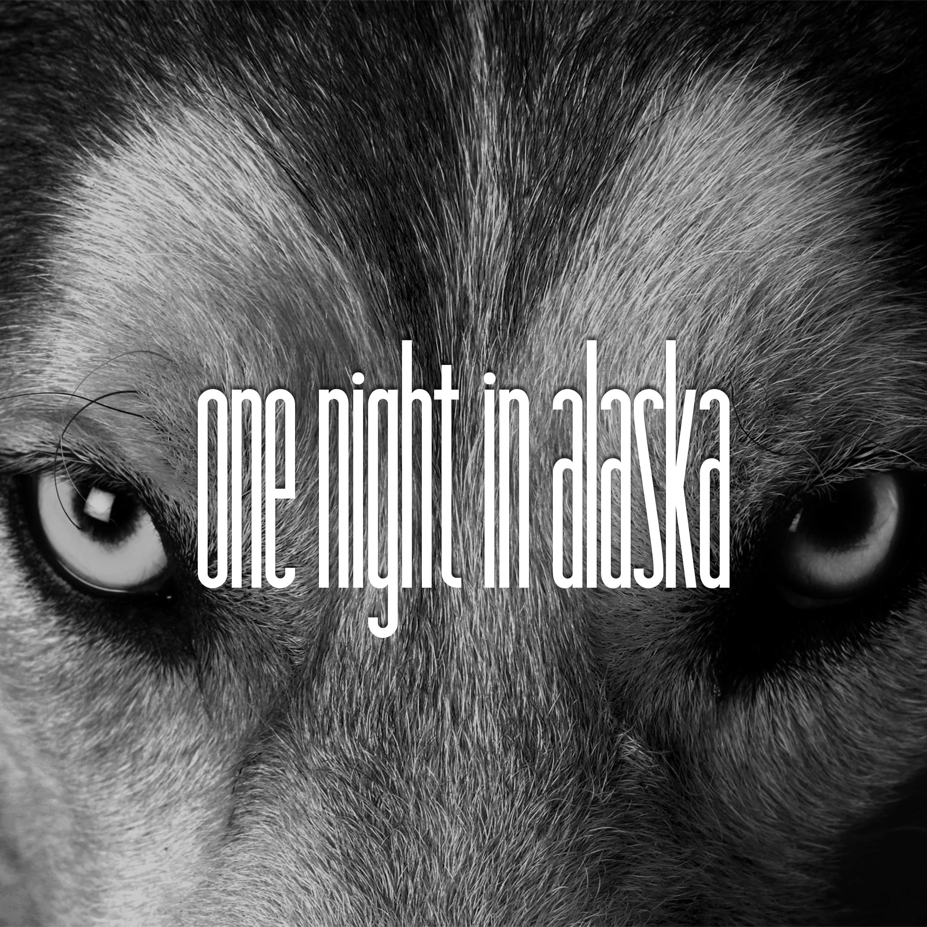 One Night in Alaska