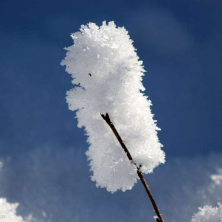 南北音乐人对雪的执念