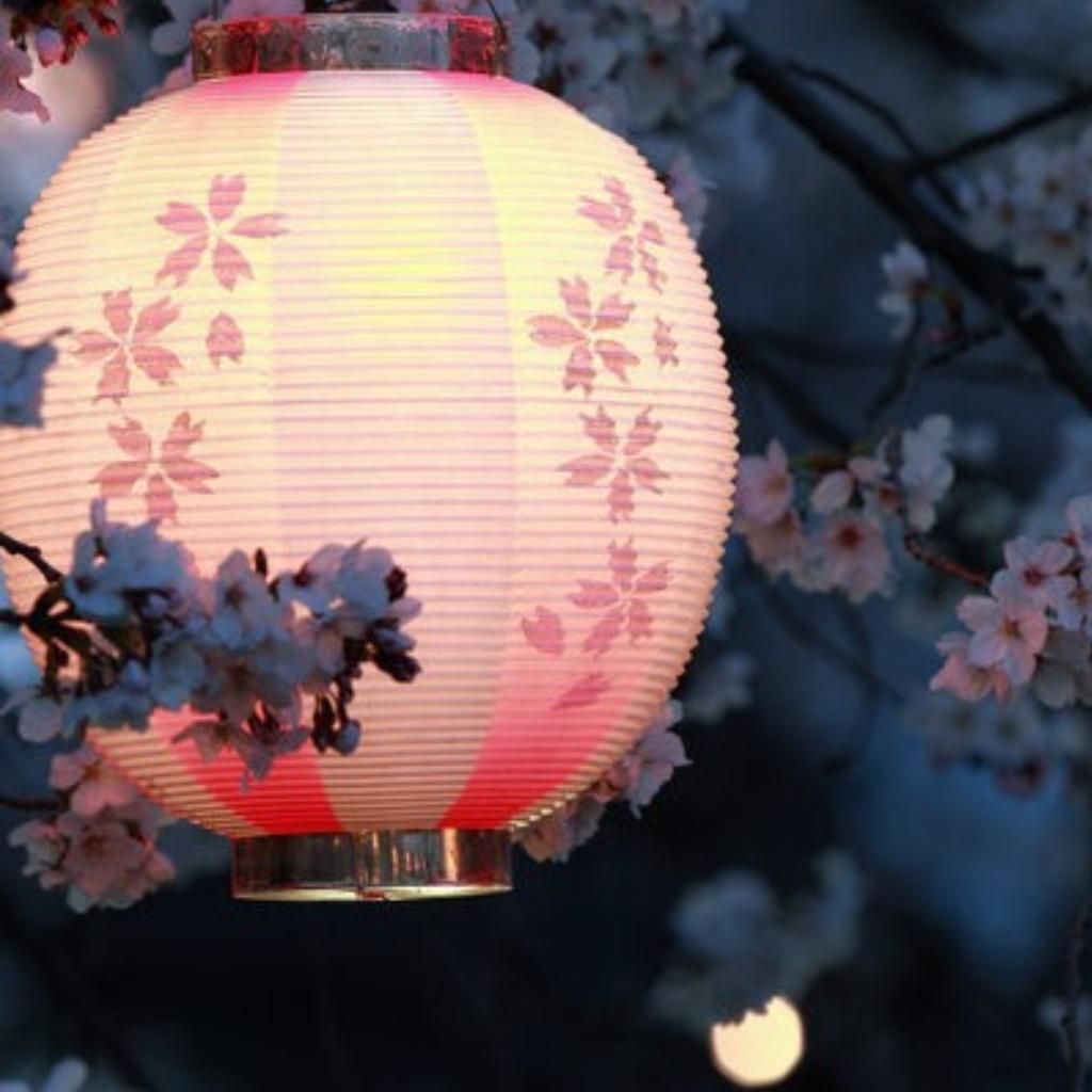 日本传统器乐赏