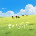 少年与风