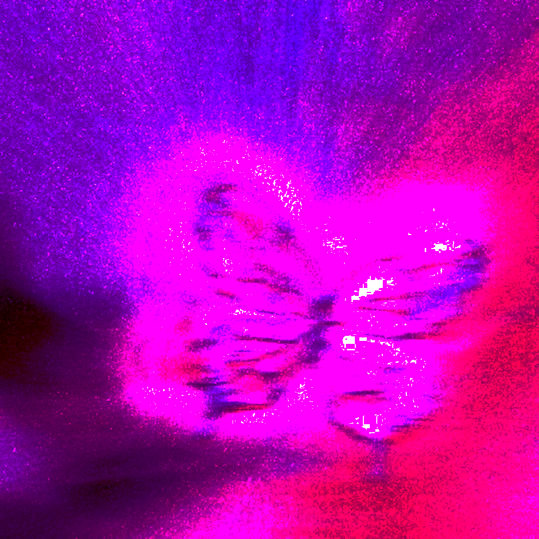 落寞LONELY