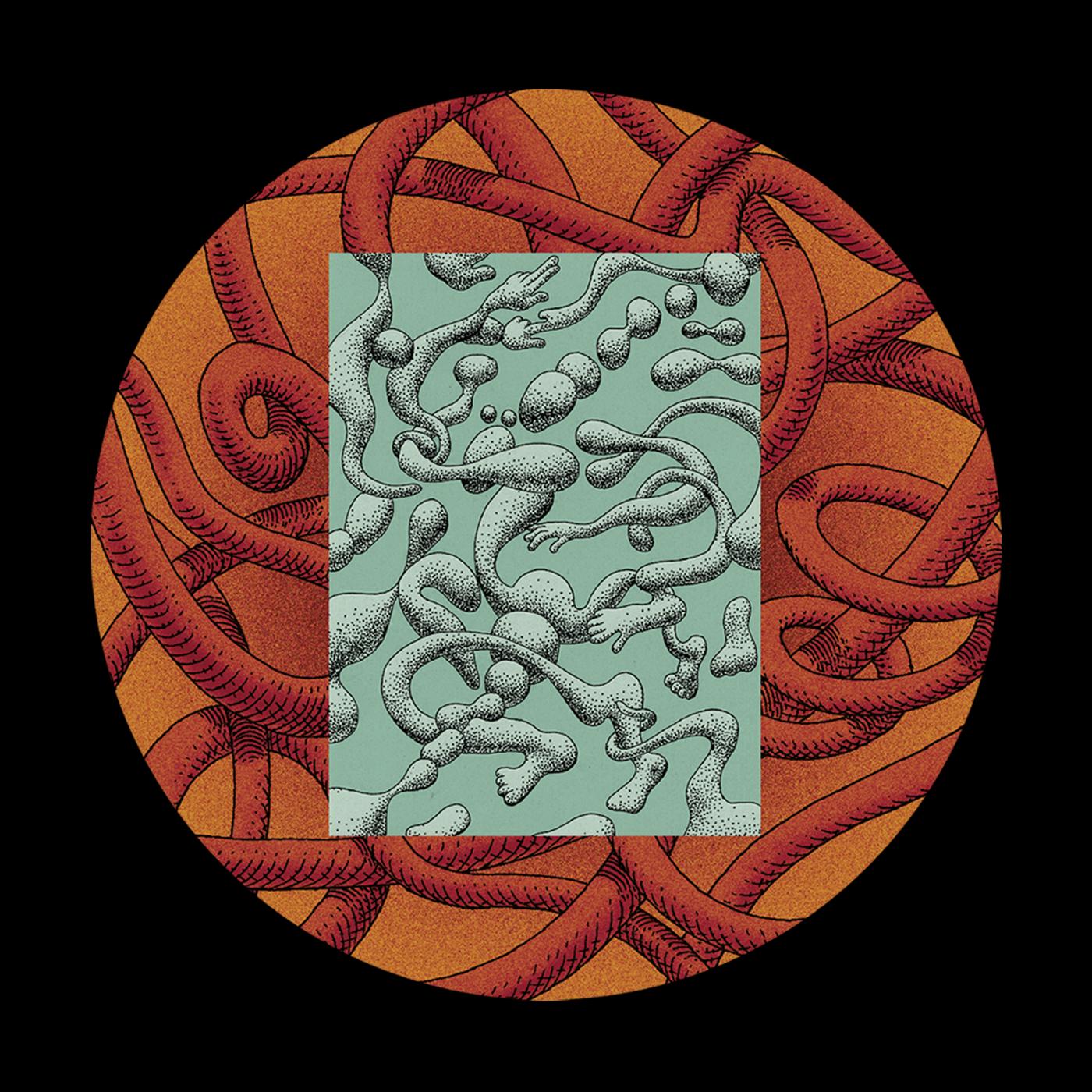 Clutch (Bakongo Remix)