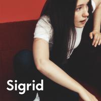 Sigrid - The Hype (VS Instrumental) 无和声伴奏