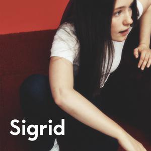 Sigrid - The Hype (VS Instrumental) 无和声伴奏 （升4半音）