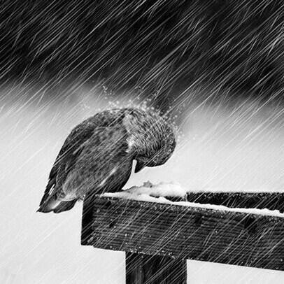 充满回忆的纯音乐