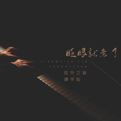 眨眼就老了