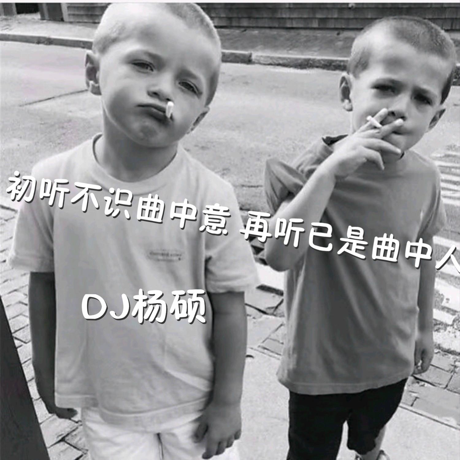 初听不识曲中意